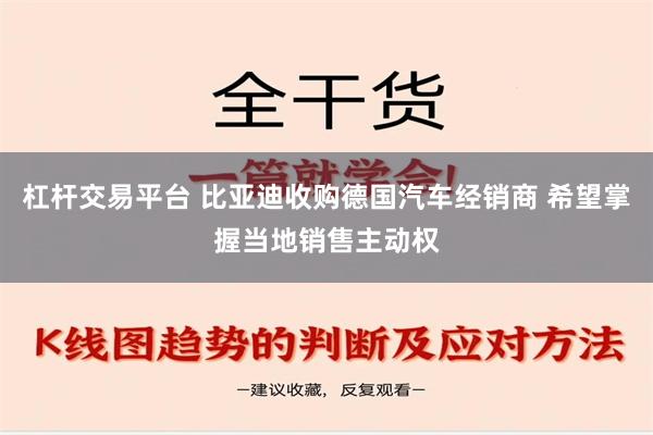 杠杆交易平台 比亚迪收购德国汽车经销商 希望掌握当地销售主动权