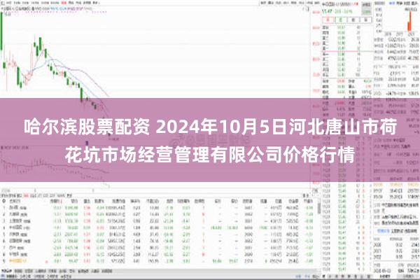 哈尔滨股票配资 2024年10月5日河北唐山市荷花坑市场经营管理有限公司价格行情