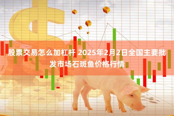 股票交易怎么加杠杆 2025年2月2日全国主要批发市场石斑鱼价格行情