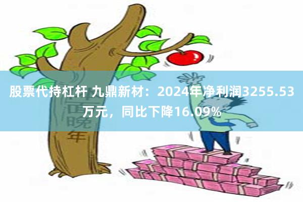 股票代持杠杆 九鼎新材：2024年净利润3255.53万元，同比下降16.09%